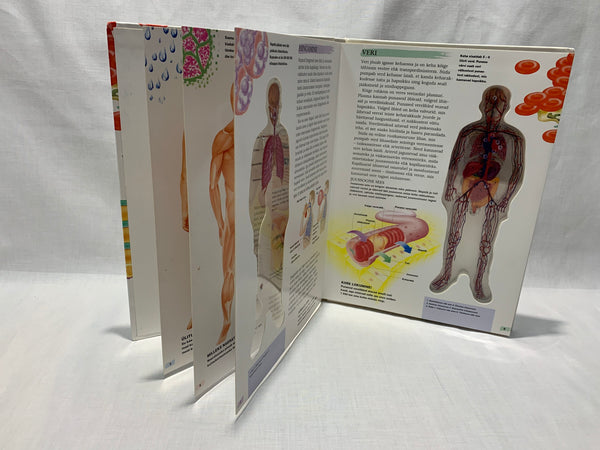 Raamat "Inimese keha"