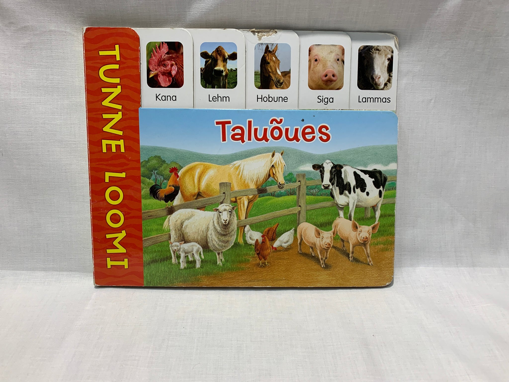 "Taluõues"