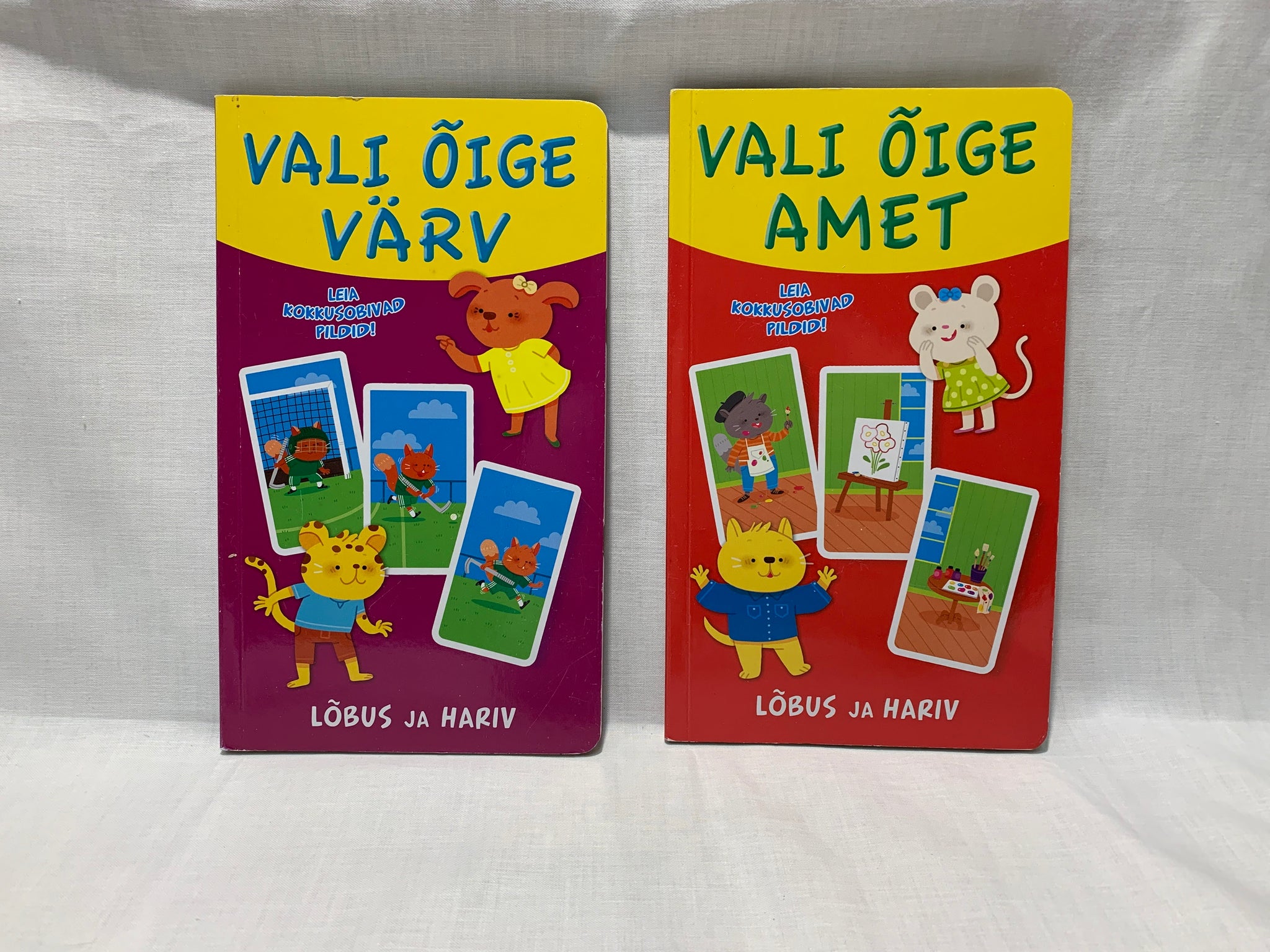 "Vali õige värv / amet"