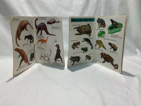 Dinosaurused ja roomajad