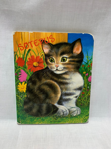 Norrakeelne raamat kassipojast