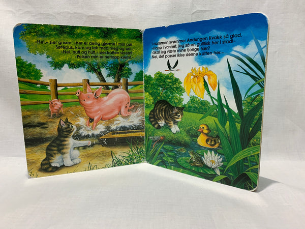 Norrakeelne raamat kassipojast