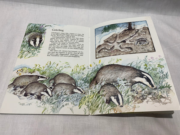 Rootsikeelne metsloomade raamat