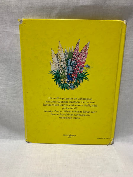 Soomekeelne raamat kadunud mängujänesest