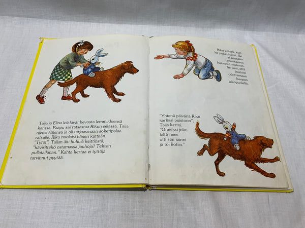 Soomekeelne raamat kadunud mängujänesest