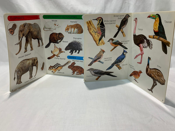 Ingliskeelsed loomade ja lindude raamatud