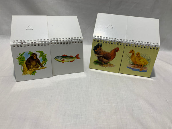 Paariliste leidmise raamat